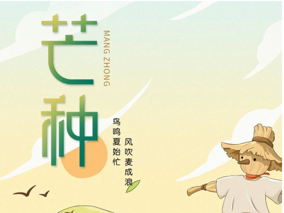 卡百利艺术涂料-二十四节气色彩丨芒种，穗色盈仲夏，美满正此时